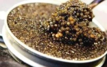 世界上最贵的鱼子酱：一勺价值4万美金(混合22k金粉)