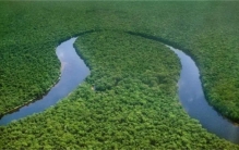 世界上最大的盆地 非洲的刚果盆地（刚果盆地）