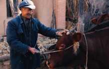 乡土故事：奇闻轶事两则，读后令人拍案惊奇