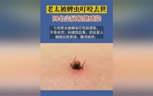 老太被蜱虫叮咬去世 四名亲属感染 如何应对蜱虫叮咬？