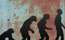 人类进化的奥秘  我们的起源和未来