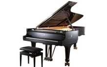 世界十大钢琴品牌排行榜：罗切尔上榜，斯坦威排第一名