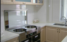 中国集成灶十大名牌排名：火星人排第七，佳歌排第一