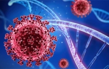 病毒没有特效药 其实原理很简单（病毒特效药）