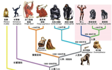 世界未解之谜？人类的祖先竟然不是猿猴？而是一条鱼