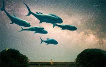 人的梦境怎么产生 这个秘密能否解开？（梦境的秘密）