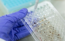 新发现924例本土重点关注变异株 该如何做措施？