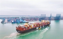 全球最大集装箱船舶靠泊南沙港