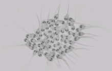 地球大气中氮气占比最大，为何动物没有进化出氮气呼吸？