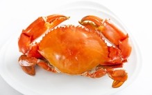 全球十种受欢迎的海鲜排行榜：龙虾上榜，螃蟹排第一位