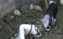 残忍的虿盆之刑，将活人丢入毒蛇坑慢慢吞噬至死