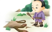 为什么会出现双头动物？从进化的角度看，为何双头很罕见？