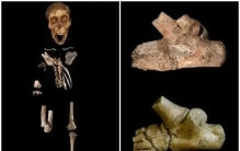 人类真是由一对祖先夫妇繁衍来的吗？为何没有受近亲繁殖的影响？