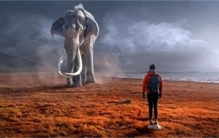 钻研完24000个梦 科学家发现梦现之间存在联系