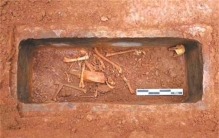 文物古籍中的动物和传说