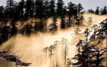 科学家进入四川一八卦阵  却被离奇冻死  据说是诸葛亮留下的