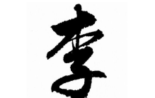 世界从未败落的八大姓氏：黄姓居第八，李姓居第一