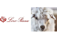 世界羊绒哪个品牌最好？全球五大顶级羊绒品牌