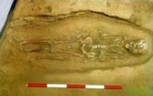 7300年前零口姑娘遇害真相，因雌雄同体被当妖魔虐杀