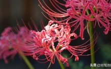 人生八大“最”，懂了豁然开朗