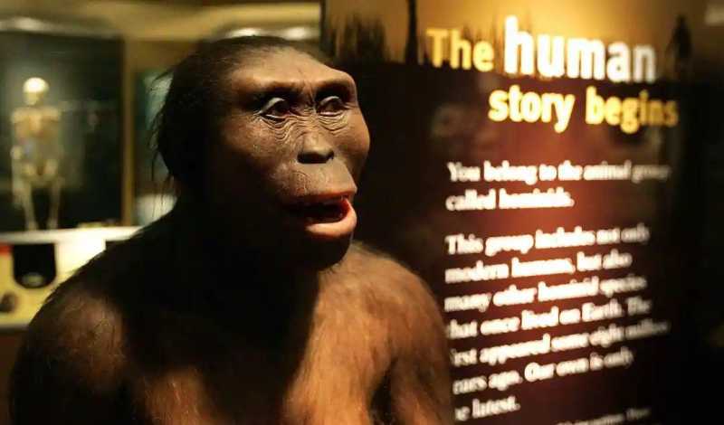 【猩球崛起？科学家宣称巴拿马猴已进入石器时代？是否会取代人类？ 】图2