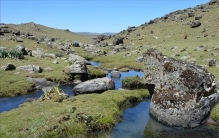 人类若是灭绝几十亿年之后人类仍有三种痕迹留在地球