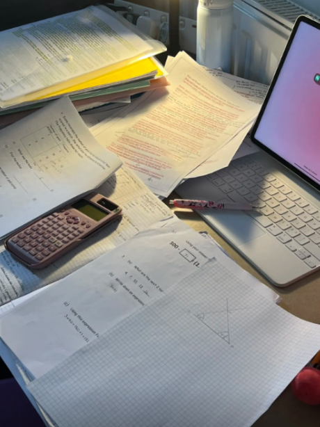 王诗龄凌晨狂晒奢侈品,高档包包香水成堆,作业难度似小学 - 世界之最