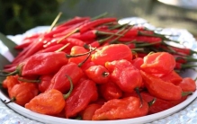 中国爱吃辣的七大省份，江西、湖南、四川悉数上榜