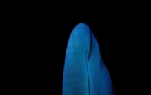 人类那些事哦……