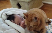 被人类幼崽萌化的瞬间 祝愿大家六一快乐