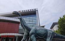 郑州特色博物馆之河南自然博物馆：重返恐龙时代，倾听化石声音