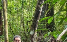 电鳗的电电电鳗电鳗会被电鳗的电电死,亚马逊河中的电鳗