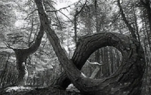 全球最神秘的四大怪人，到底从何而来？至今依然是世上的难解之谜