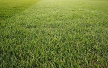 战魔少年049不务正业的教练带头在训练场里聊大天