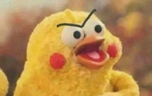 你的良心不会痛吗梗的出处，鹦鹉兄弟洗脑表情包