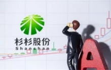 85后遗孀与90后继子争夺杉杉400亿资产大打出手结果怎样