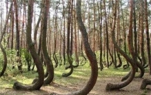 全球30个未解之谜 令世人震撼