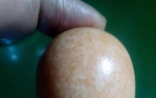 霸王龙的天敌是什么动物(霸王龙的天敌排名)