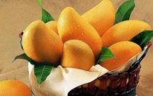 芒果是热性的还是凉性的?虽是热带水果之王(却属凉性)