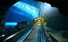 世界上最长的海底沉管隧道：港珠澳大桥海底隧道（建造困难）