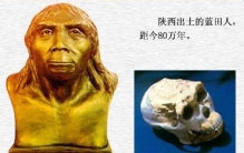 人类怎样演变而来的(人类的历史有大约300万年)