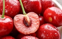 樱桃是热性的还是凉性的?属于温性水果(含铁量居首位)