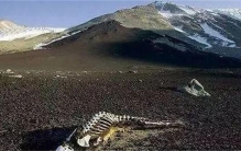 世界十大禁地排名 世界上十大不能去的地方