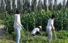 在洗浴中心上班，老板娘却总是一个人喝酒哭泣，真相让人心酸