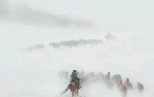 新疆白毛风食人案,民间真实的食人故事