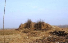 保定这个地方为什么会埋有四万颗骷髅2200年前这里发生了什么事情