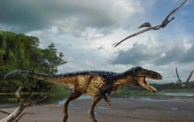 帖木儿龙揭示暴龙家族崛起之谜