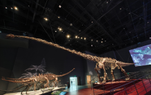 恐龙“出没”等你来约 成都自然博物馆11月23日开馆试运行