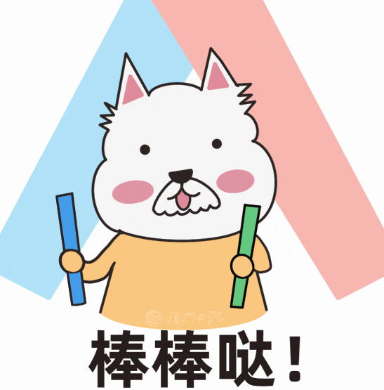 最小年龄！厦门男孩创造世界纪录！
