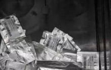 世界末日生存种子,地球最神秘种子库